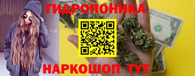 амф Гусь-Хрустальный
