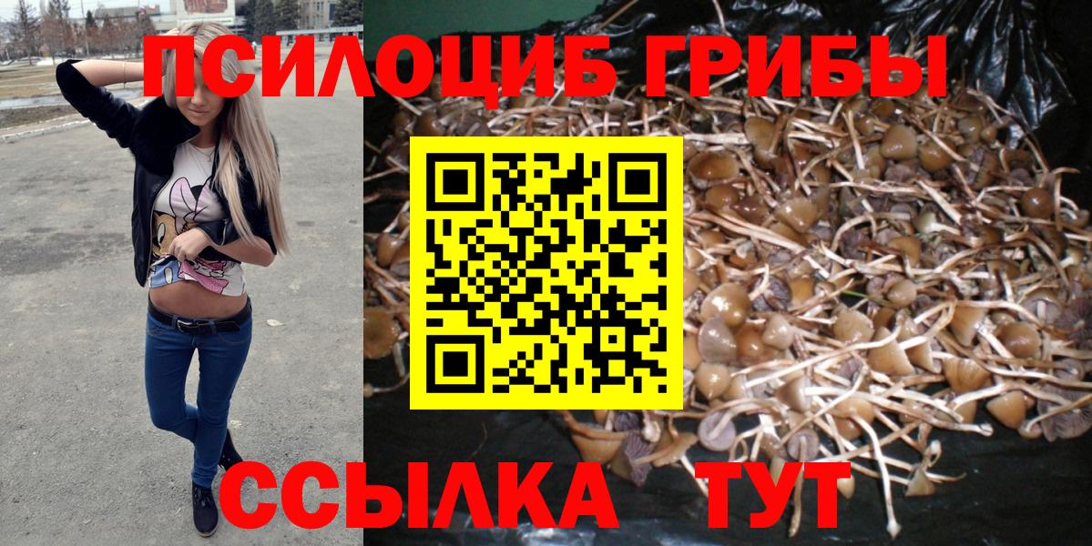 Галлюциногенные грибы Magic Shrooms  Псилоцибиновые грибы ЛСД  Усолье-Сибирское  Вход с VPN 