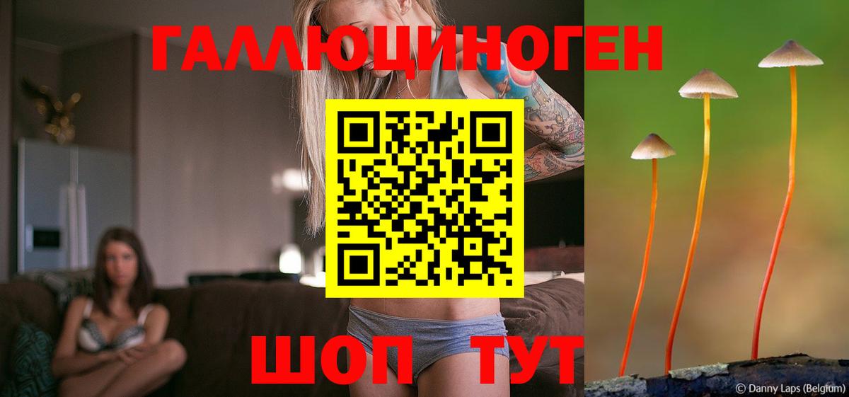 Галлюциногенные грибы Psilocybine cubensis Усолье-Сибирское